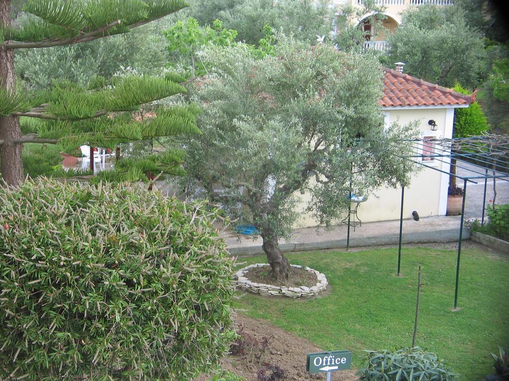 Dimaras Apartments Vasilikí Extérieur photo