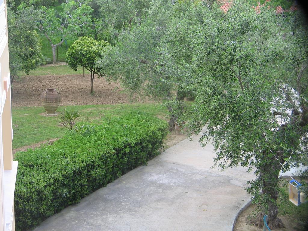 Dimaras Apartments Vasilikí Extérieur photo
