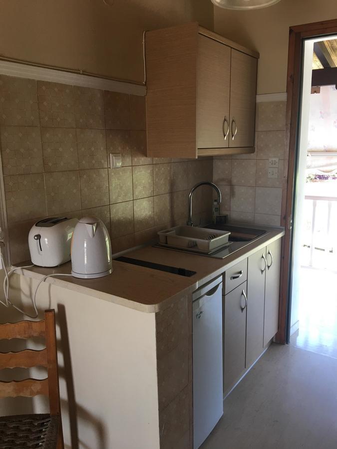 Dimaras Apartments Vasilikí Extérieur photo